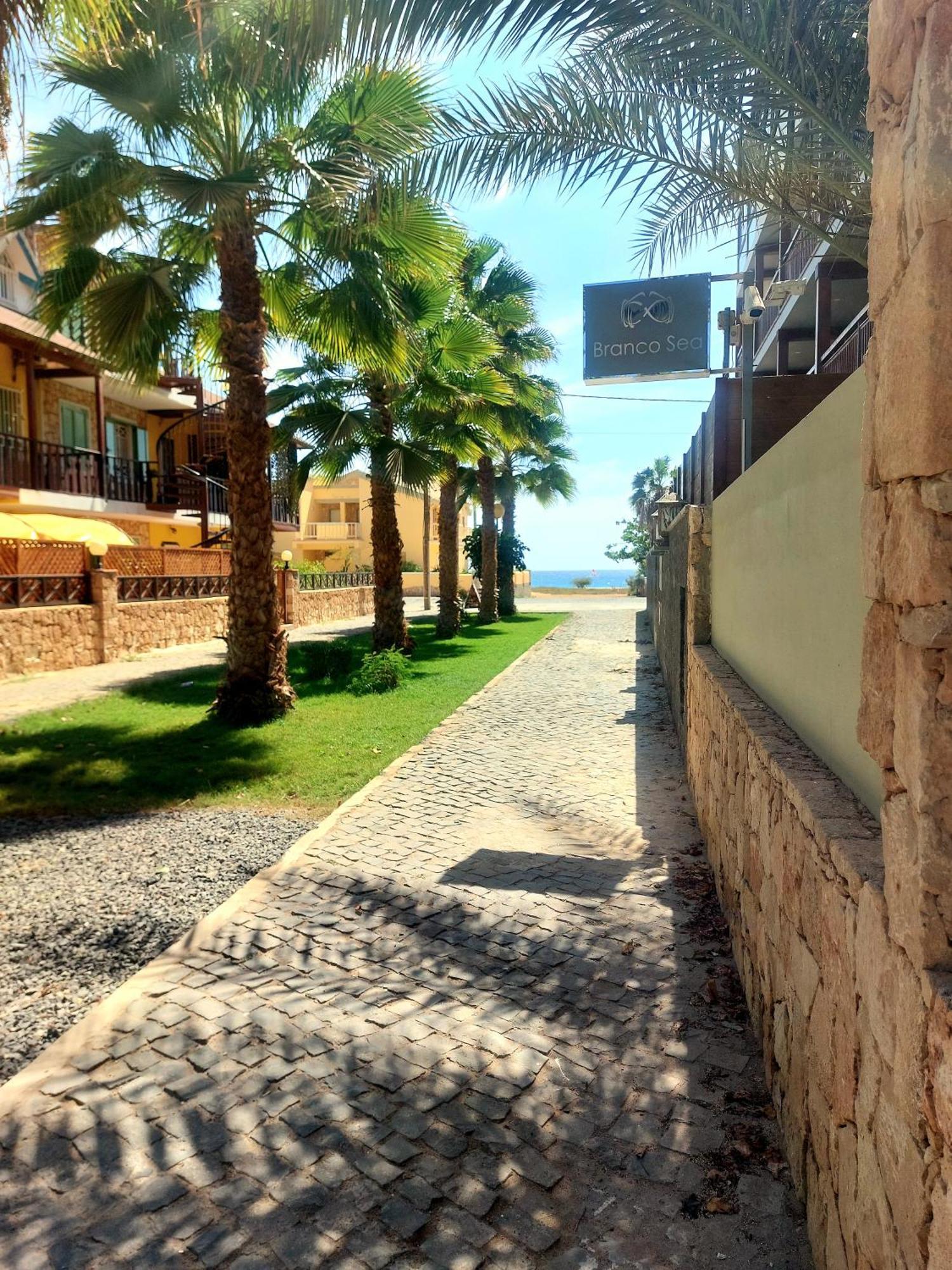 Branco Sea Holiday Apartments Santa Maria Extérieur photo